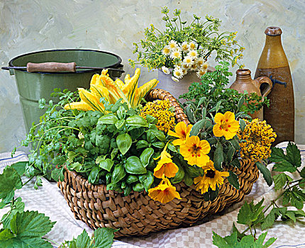 安放,新鲜,药草,食用花卉,柳条篮