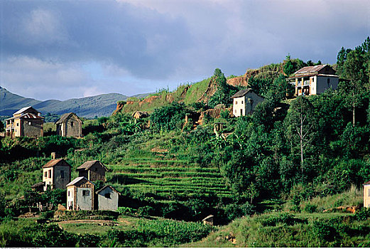 阶梯状,稻田,山坡,马达加斯加