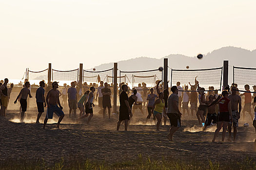 人群,玩,沙滩排球