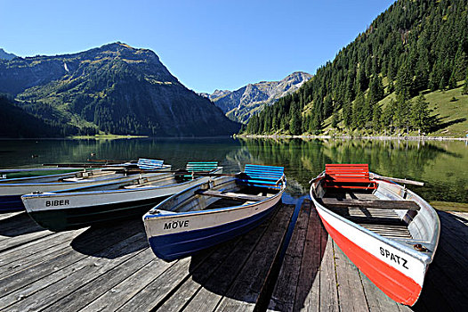划船,船,湖,靠近,山,多,山谷,提洛尔,奥地利,欧洲