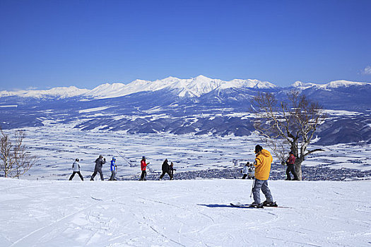 十胜岳山,福良野,盆地,滑雪胜地