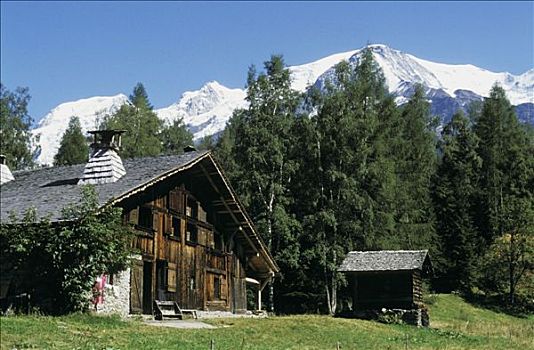 勃朗峰,木房子,高,山地牧场