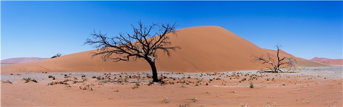 宽,全景,沙丘,索苏维来地区,纳米比亚