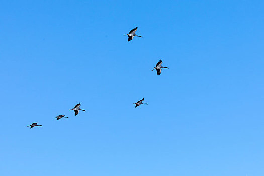 会泽念湖风光