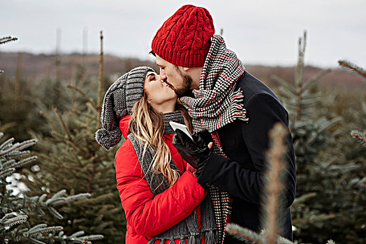 浪漫,年轻,情侣,吻,购物,圣诞树,树林