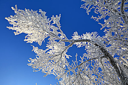 雪岭雪凇冬季美