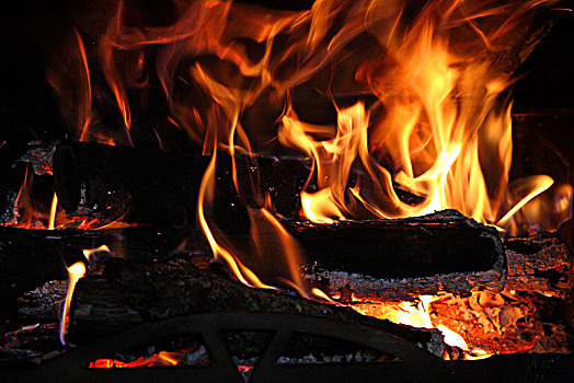 法国,木头,火,壁炉