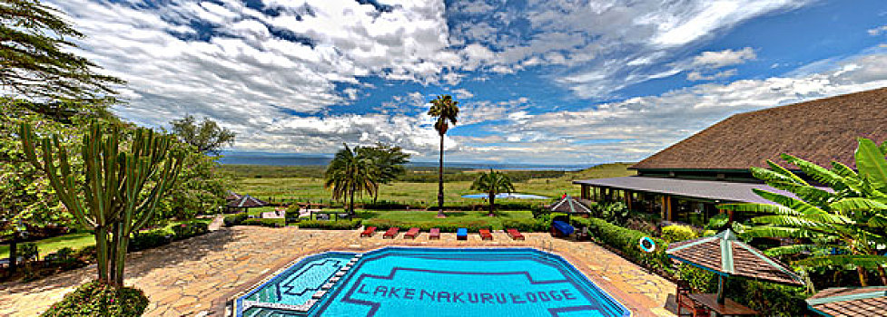 游泳池,纳库鲁湖,住宿,纳库鲁湖国家公园,肯尼亚,东非