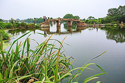 横街镇桃源村职湖桥