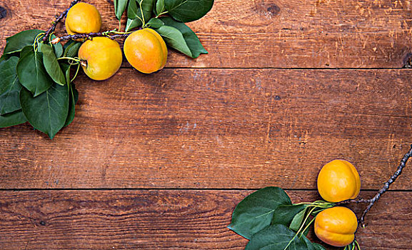 杏,木纹,水果背景