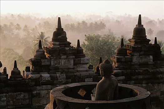 印度尼西亚,爪哇,佛像,婆罗浮屠,树,背景