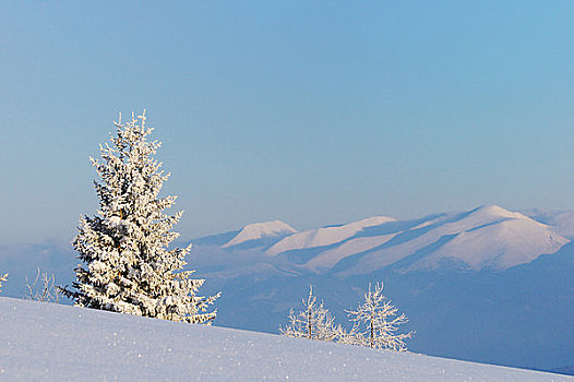 积雪,山地牧场,施蒂里亚,奥地利