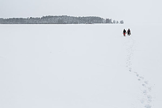 两个人,走,上方,冰冻,湖,北极圈,圆,正面,脚印,靠近,拉普兰,芬兰,欧洲