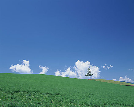 多云,夏日天空