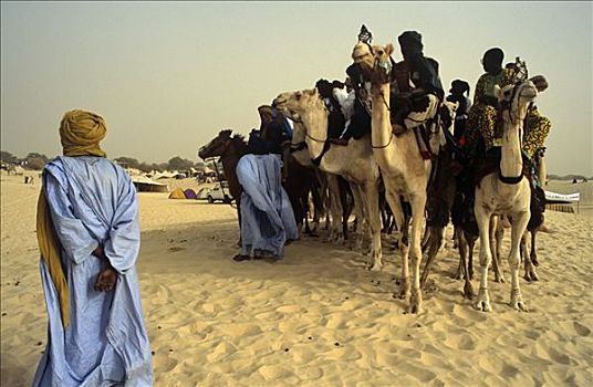 马里,靠近,通布图,柏柏尔人,男人,骆驼,聚集,节日,沙漠