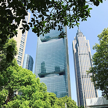 城市,摩天大楼,广州