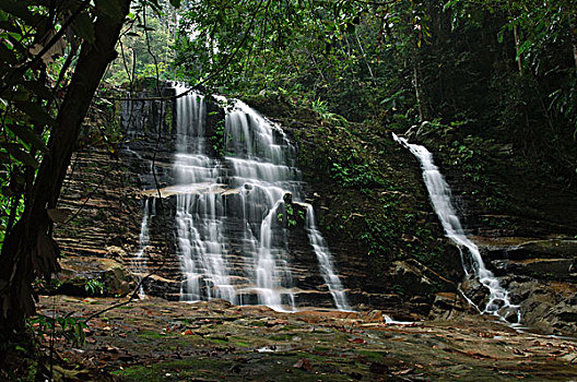 瀑布,室内,国家公园,马来西亚