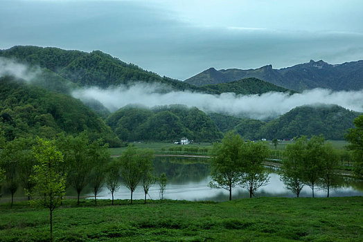 神农架,大九湖,风景,景点,旅游,高山,瀑布,河流,树木,植被,湿地,高原,湖泊,壮观