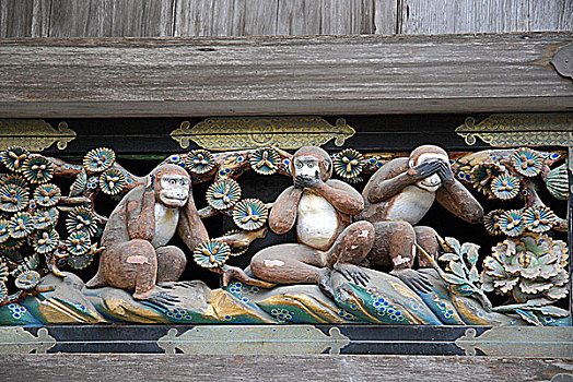 日本,智慧,猴子