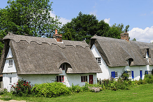 英格兰,剑桥郡,魅力,茅草屋顶,屋舍,绿色