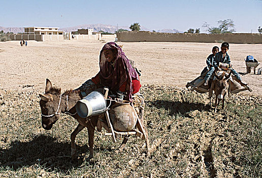 骑,驴,小孩,运输,水,罐,容器,乡村,上方,靠近,苏丹,地区,区域,巴基斯坦