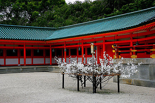 京都府,平安神宫