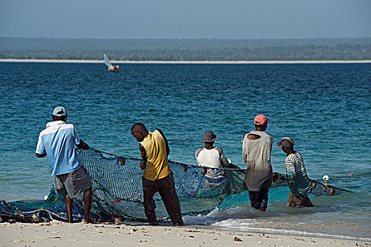 渔民,拉拽,网,岛屿,群岛,北方,莫桑比克
