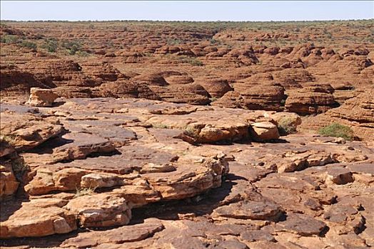 砂岩,圆顶,迷失,城市,南方,边缘,国王峡谷,国家公园,北领地州,澳大利亚