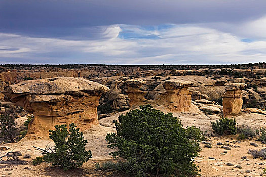 窗户,石头,亚利桑那,美国,纳瓦霍部落