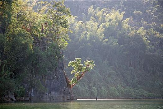 自然保护区,水库,泰国,亚洲