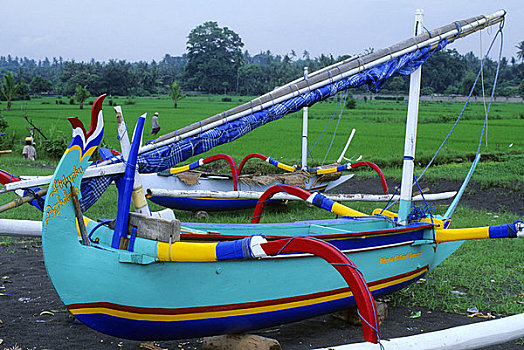 印度尼西亚,巴厘岛,海滩,木质,渔船,稻田,背景