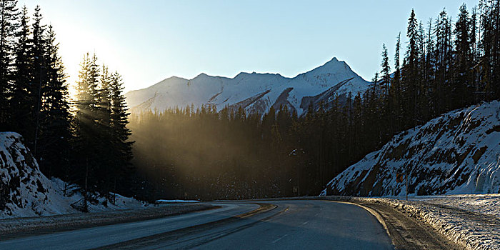 公路,幽鹤国家公园,冬天,不列颠哥伦比亚省,加拿大