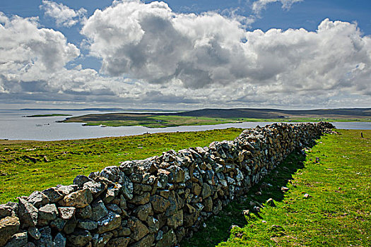 老,石墙,围栏,地点,草场,昂斯特,设得兰群岛,苏格兰,英国,欧洲