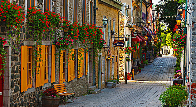 彩色,街道,百叶窗,花,魁北克城,魁北克,加拿大