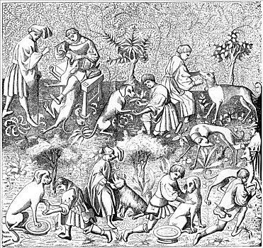 疾病,狗,14世纪