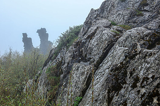 神农架,板壁岩,风景,景点,旅游,高山,神秘,树木,植被,石头,鄂西,奇石,壮观