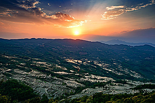 元阳梯田坝达日出