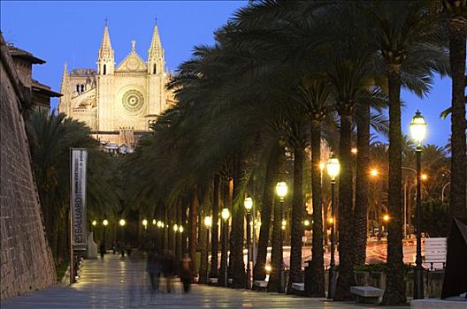 大教堂,晚上,马略卡岛,巴利阿里群岛,西班牙,欧洲