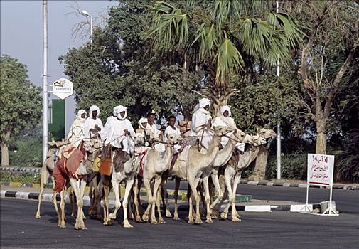 一群人,乘,骆驼,向上,主要街道,喀土木