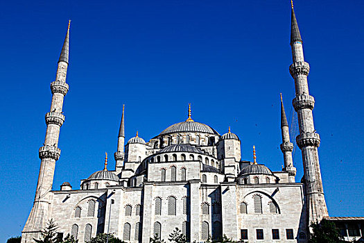 土耳其,伊斯坦布尔,市区,区域,藍色清真寺,清真寺,蓝色清真寺