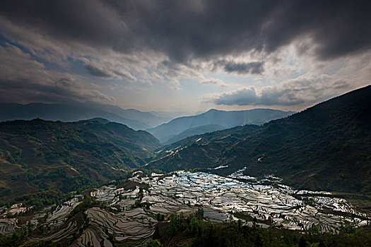 阶梯状,稻田,元阳