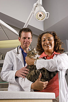 肖像,两个,兽医,诊所,拿着,宠物,猫