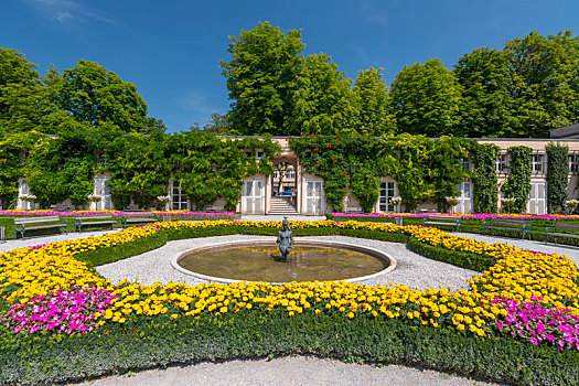 漂亮,花,盛开,米拉贝尔,宫苑,萨尔茨堡,奥地利