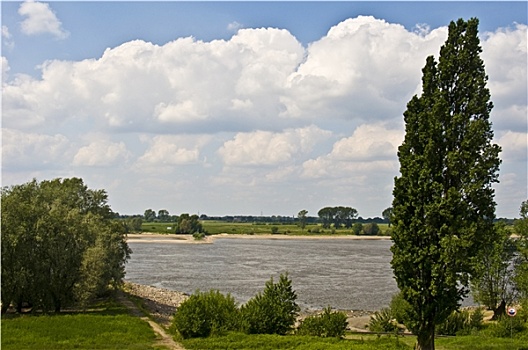 莱茵河