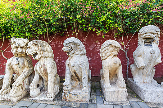红色庙墙前面的一排古代石头狮子,正定开元寺