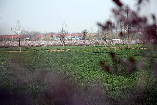 山东省日照市,市民享受清明节小长假,风景区人头攒动