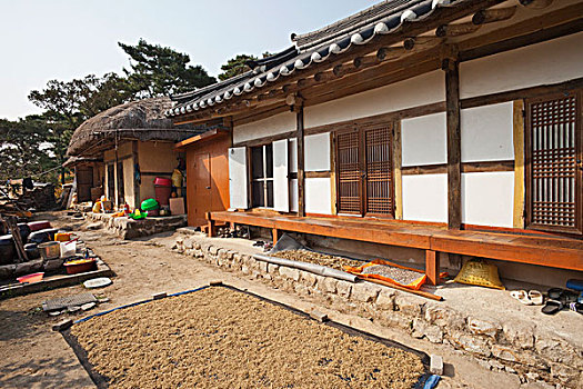 韩国,庆州,乡村,传统,乡村风格,房子