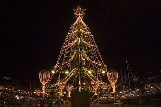 圣诞装饰,中心,丰沙尔,马德拉岛