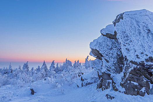 积雪,冬季风景,石头,黎明,格罗塞尔,法兰克福,黑森州,德国