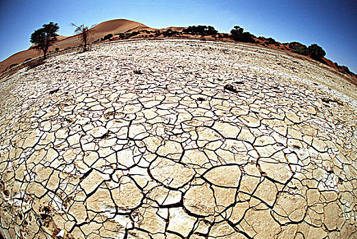 裂土,干燥,沙漠,状况,索苏维来地区,纳米布沙漠,纳米比亚